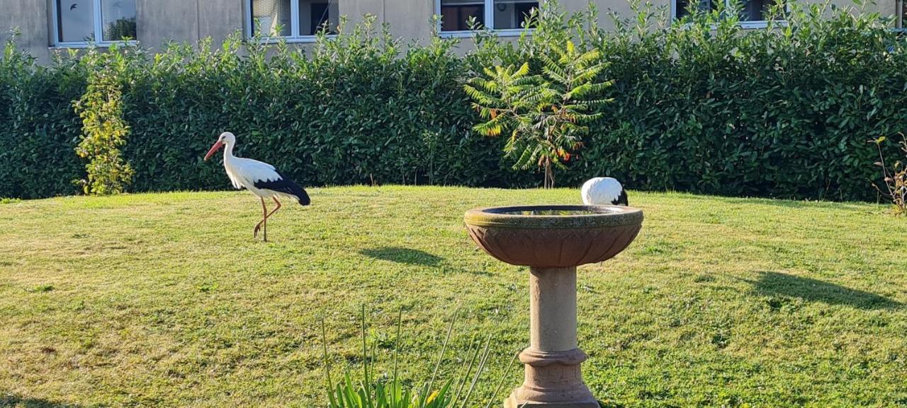 Maison D'Hotes Sainte Hune Appartements Hunawihr Dış mekan fotoğraf